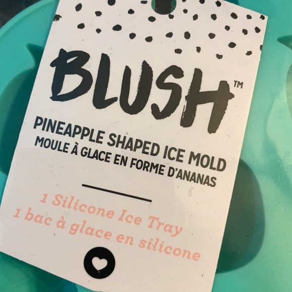 Blush Pineapple Shaped Ice Mold - Picture 2 of 4